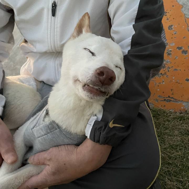 E3b0b92e 8c96 43d1 be7e e45e57cb08b9 1670494976192