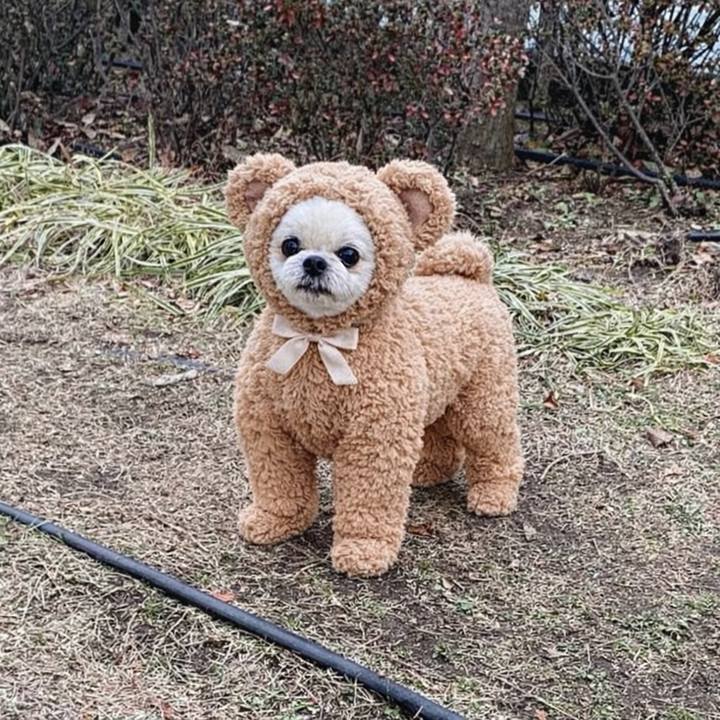 E3b0c038 17ce 4533 b874 3c32c81f4a68 1766838882167