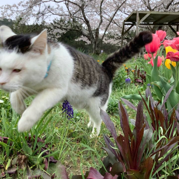 E3b0ee0b affc 459b a056 dca926d5aa98 1617508887688