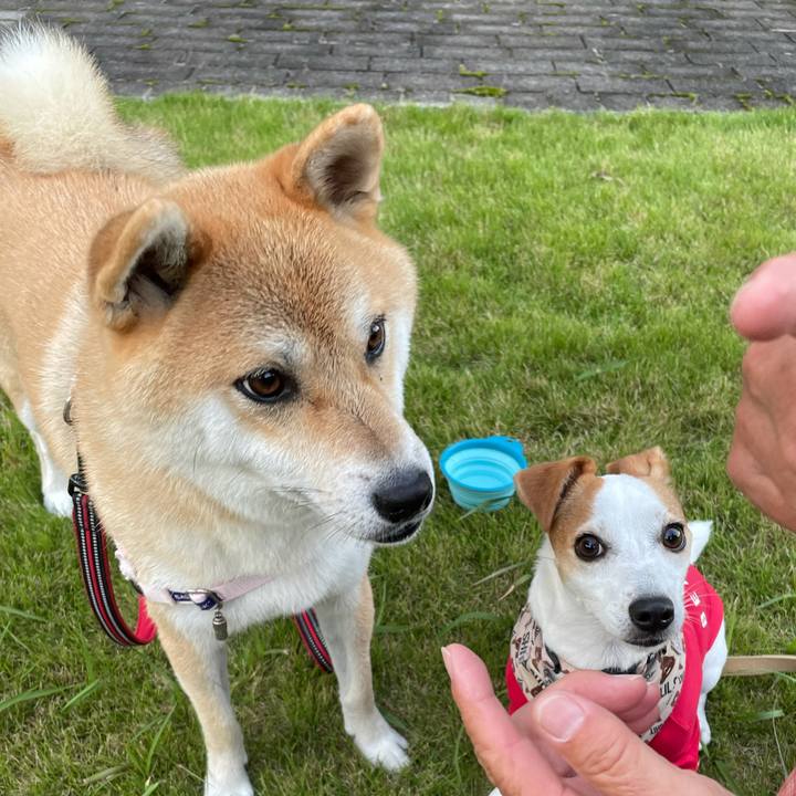 E3b0f90f a472 4ad3 8746 22bdf43dbabc 1634215466907