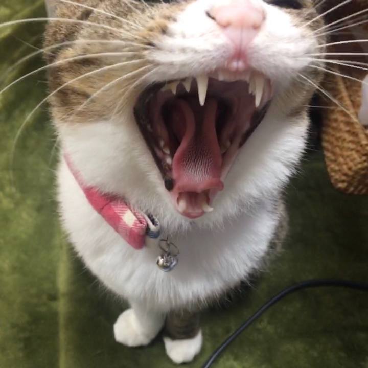 E3b10100 800d 41bd 8fdc b12845cf5520 1703901030773