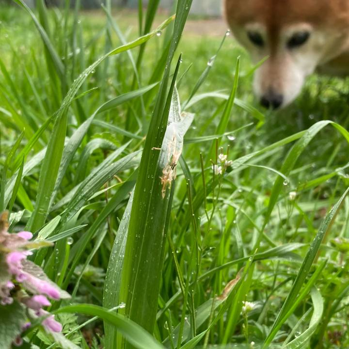 E3b112e7 ad18 4293 9f00 09602583596a 1679532473962