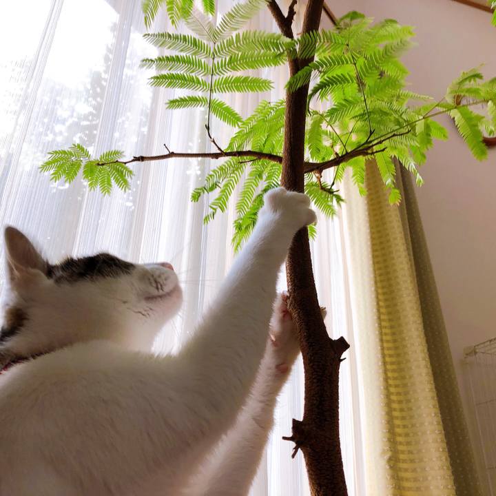 E3b1273c 05ea 4618 b8cb 9854b07dd228 1630914295596