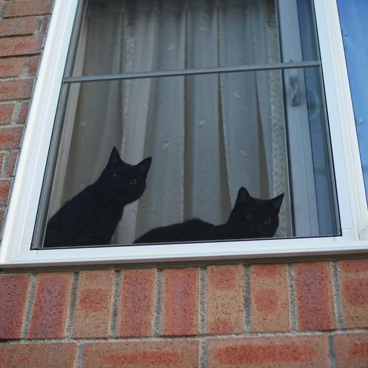 E3b1bdd3 7a80 48dd aa3f 933c829d309f 1528033482030