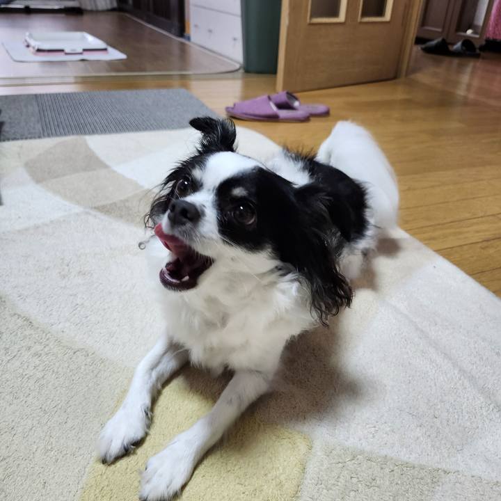 E3b1e086 5796 41bf b28e a0384d61e167 1759724642912