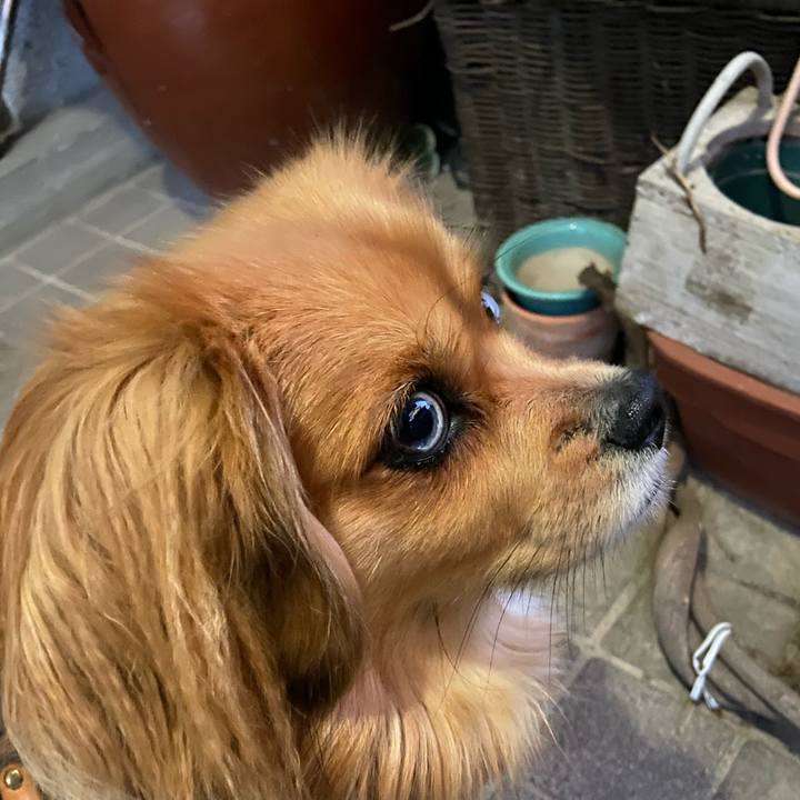 E3b1f6e9 9ae2 469b a2f1 dd27482b0c00 1579556972451