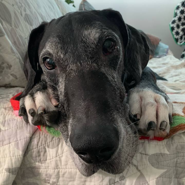 E3b2029e ffcf 4427 b398 eff7e75df26d 1595199018079