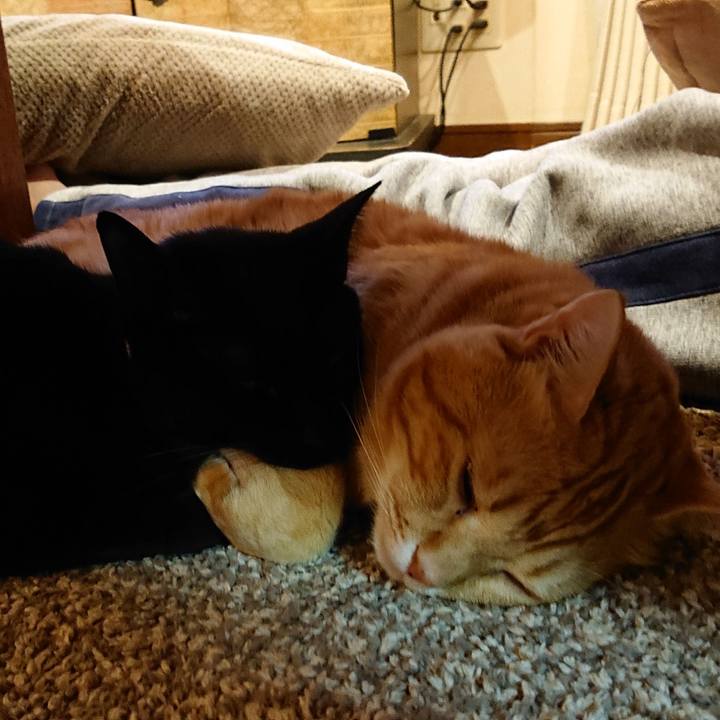 E3b21365 3a91 48a7 8752 1c7e9c4bd002 1546249167967