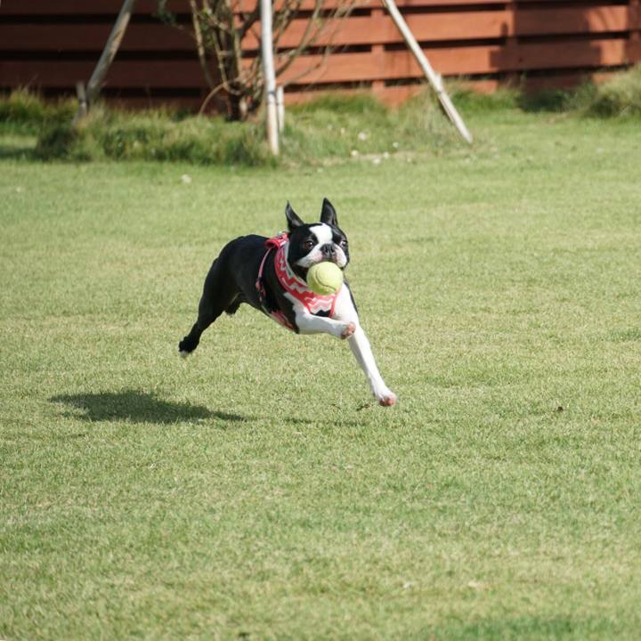 E3b2231e 28b3 47bc 942a 708702b4a28f 1538879740430