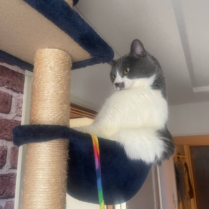 E3b23a37 1f4c 4d43 870e e15c2f83b118 1712217697541