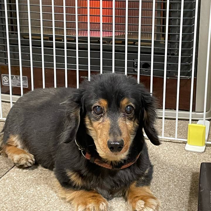 E3b24270 a0b0 47bf a564 0d9080a1afe0 1642628201437