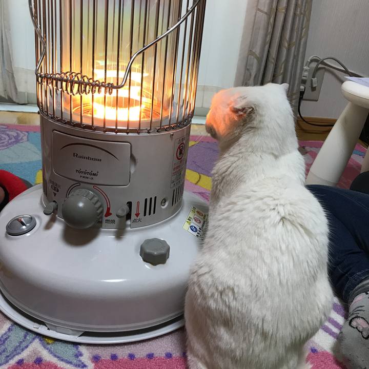 E3b25e33 f1bc 47fc 8cc4 0950d05148df 1520490797940