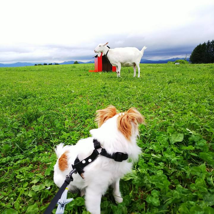 E3b2634c cc23 4063 b0a9 9dc85c095495 1530348127664