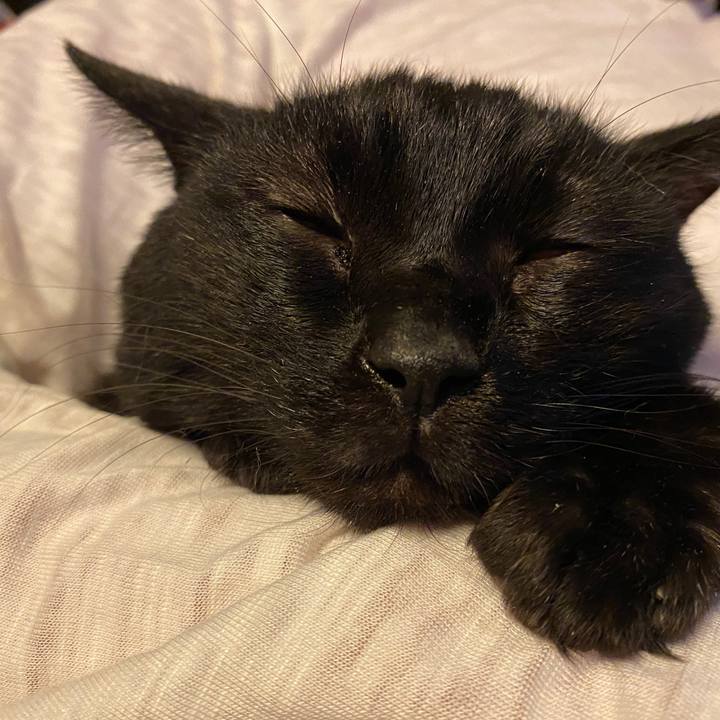 E3b2775c a378 403b 8e4a 32b7116377e3 1607986461220