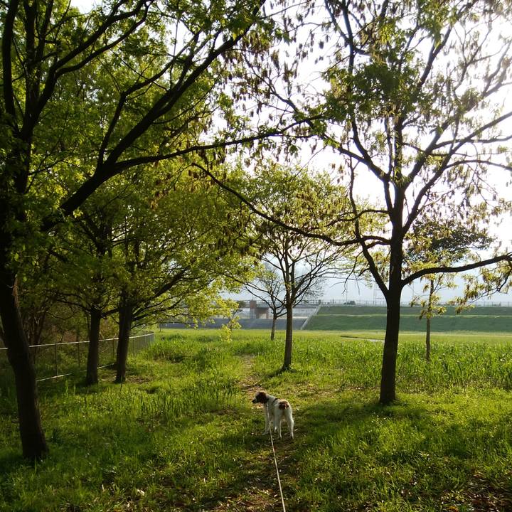 E3b2b8f2 6fb1 47dd 8dfe d0c02b44e660 1523497248341