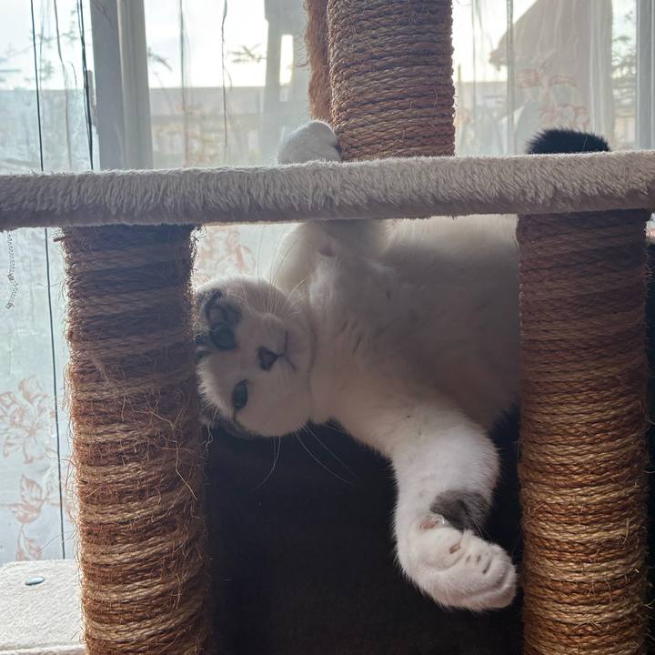 E3b2df2f e255 48a3 91ad 99135e0c377d 1774047531843