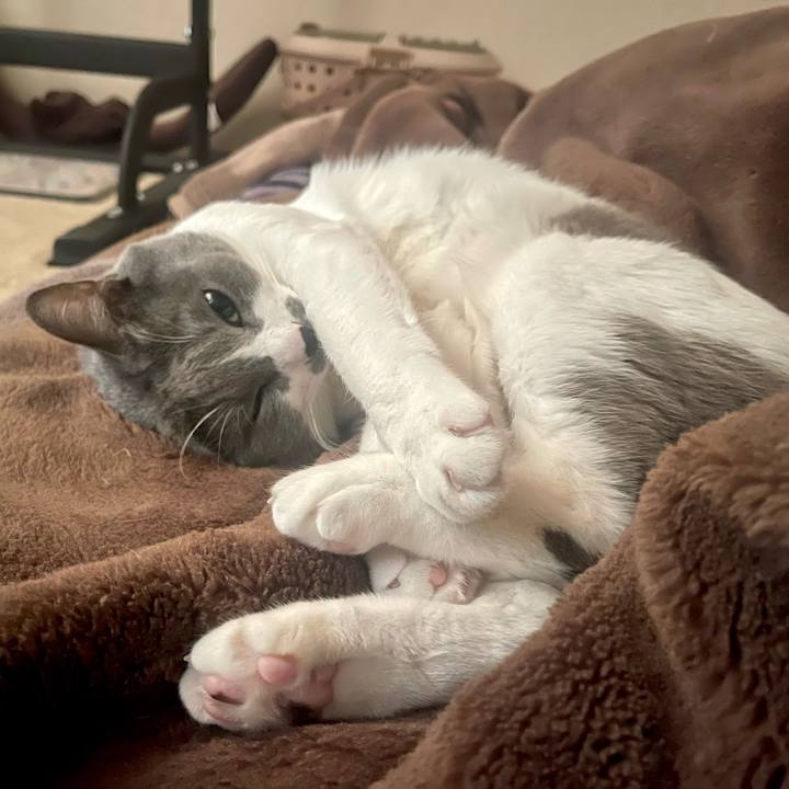 E3b2e360 02ba 449c 9734 3556f7c585db 1667344413454