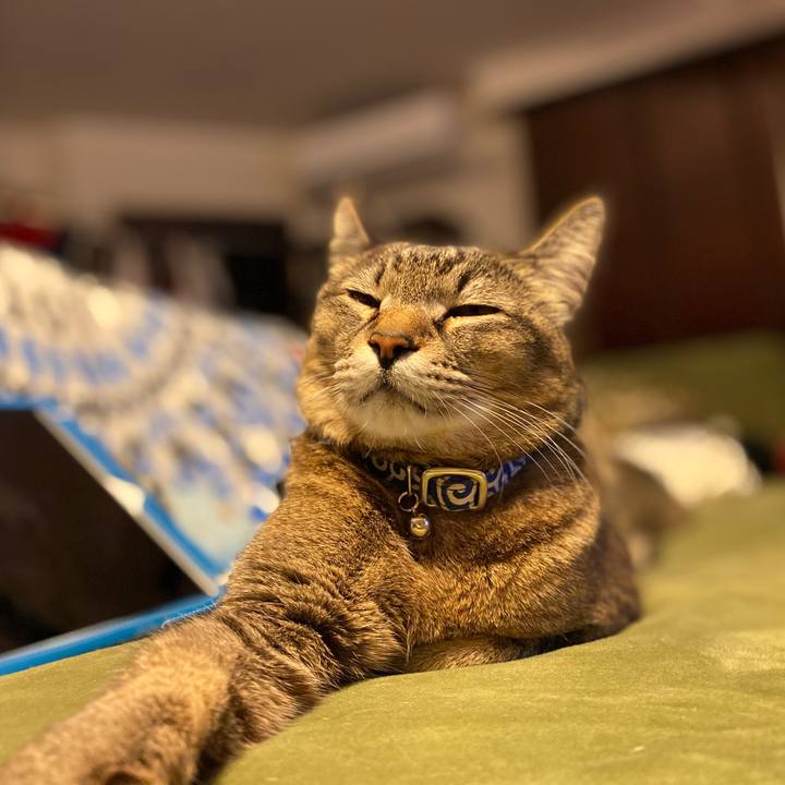 E3b2f5c1 5197 4e50 9bf0 05a110e26b3c 1583672714475