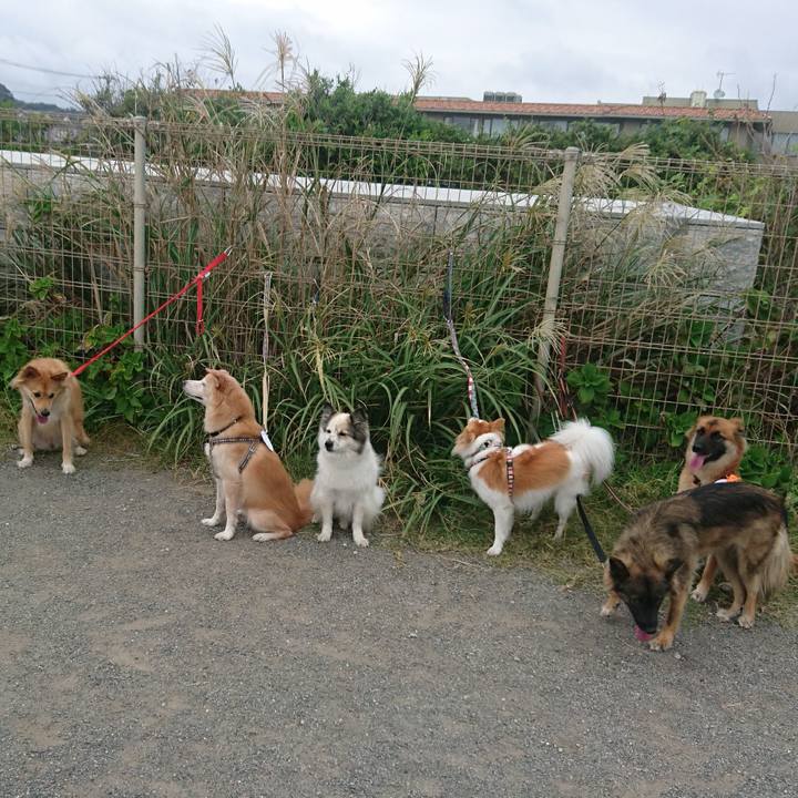 E3b332fa ae39 49b5 927c 5abb70185ee0 1570357029560