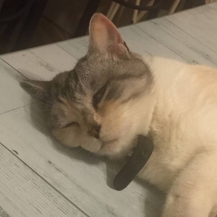 E3b34f3b d832 45b9 b28b 0e0d1d420d17 1562170769870