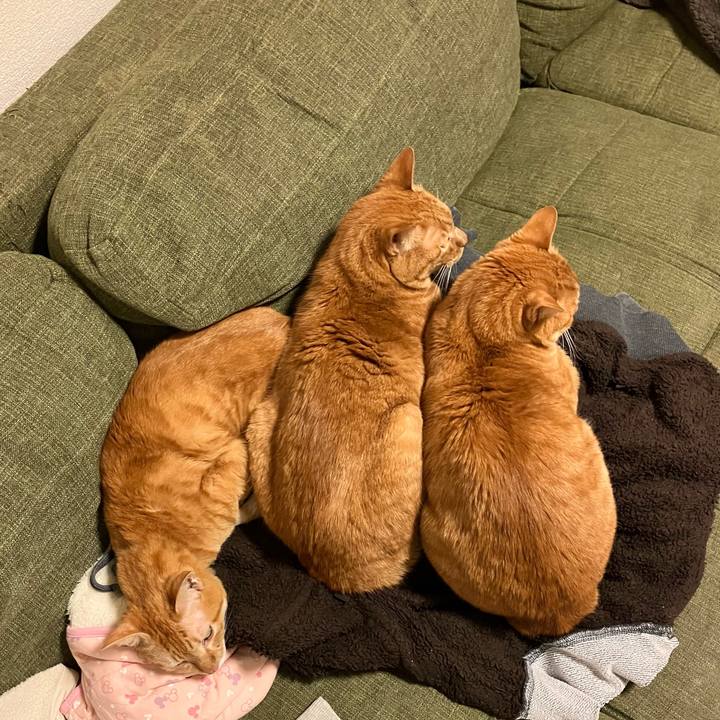 E3b3600b 4341 430d bb16 2682e67451e3 1765381809966