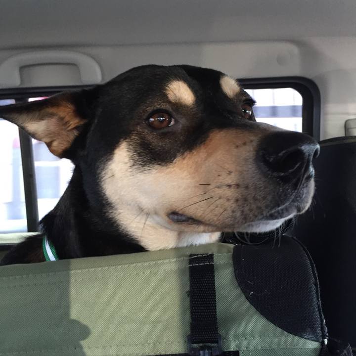 E3b3720a c25d 4f2b 9ab8 10c06a60d0ff 1514811380012