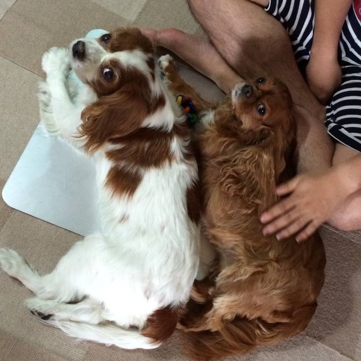 E3b3763e 5a3f 4e70 8554 b080a49be157 1517051924178