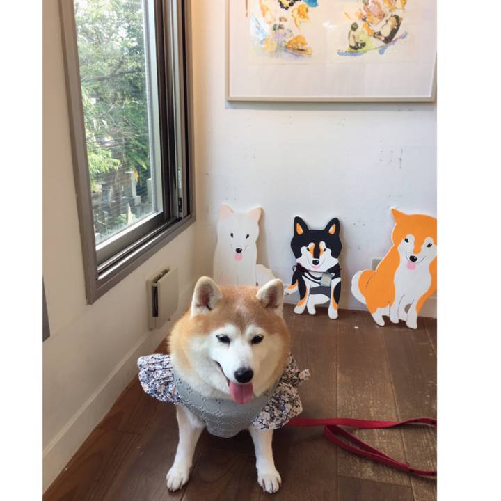 E3b37e7a ccb7 45b4 92d4 f9b929562d3a 1572079287975