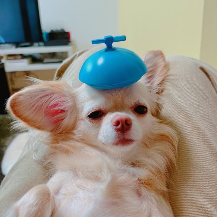 E3b3b58f 948b 4e70 ae59 962afc154af4 1650789708745