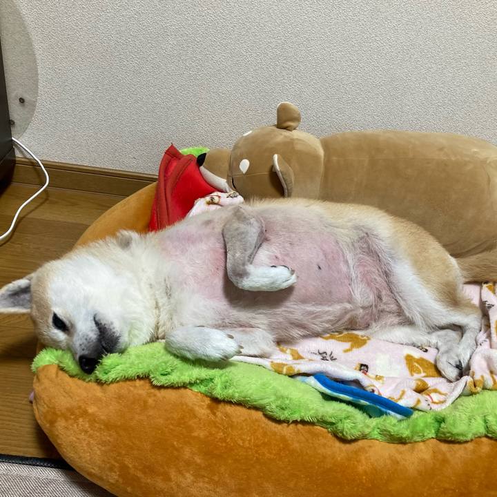 E3b41019 33ed 4572 a7aa b6e4ea991e32 1638358166498