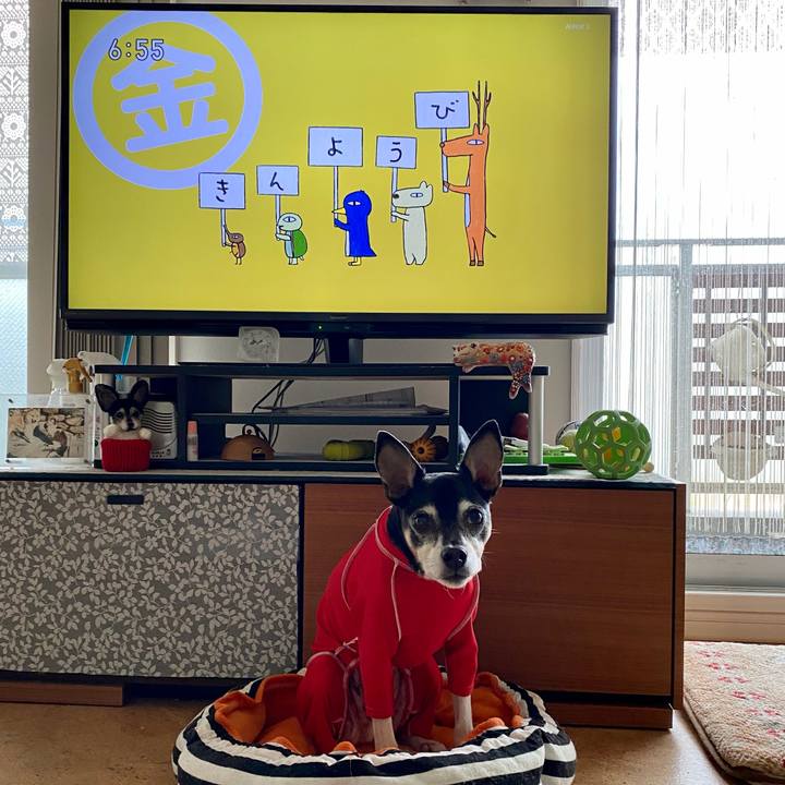 E3b42375 fb5b 46a5 b3eb 6ca9aa8235b6 1618525329699