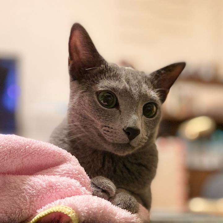 E3b44bbe a14c 4352 8657 14e372177fd9 1629327279532