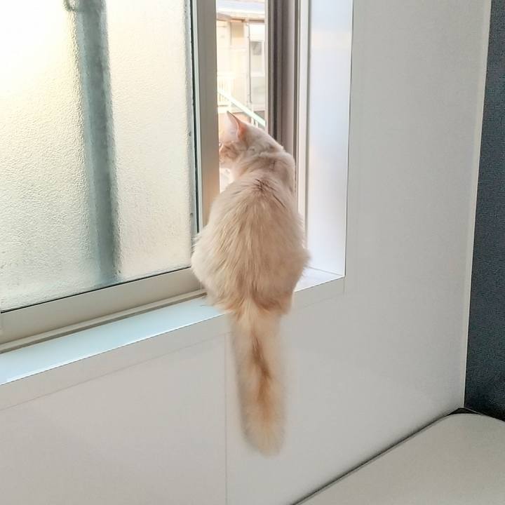 E3b46f38 e7be 457e 87e0 bde19974e7f7 1619819793407