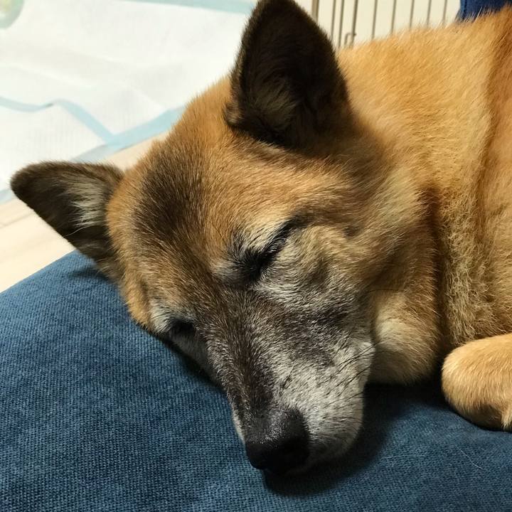 E3b488c9 75f0 4054 ae01 a090f0345709 1539689717437