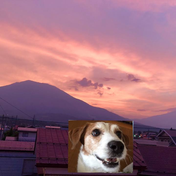 E3b4924a 1d82 4b75 9c64 dd537d571cb3 1564654337153