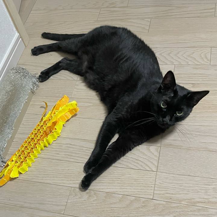 E3b49a3b 1ceb 4084 a8b3 1a8ebcae1b1e 1721482004011