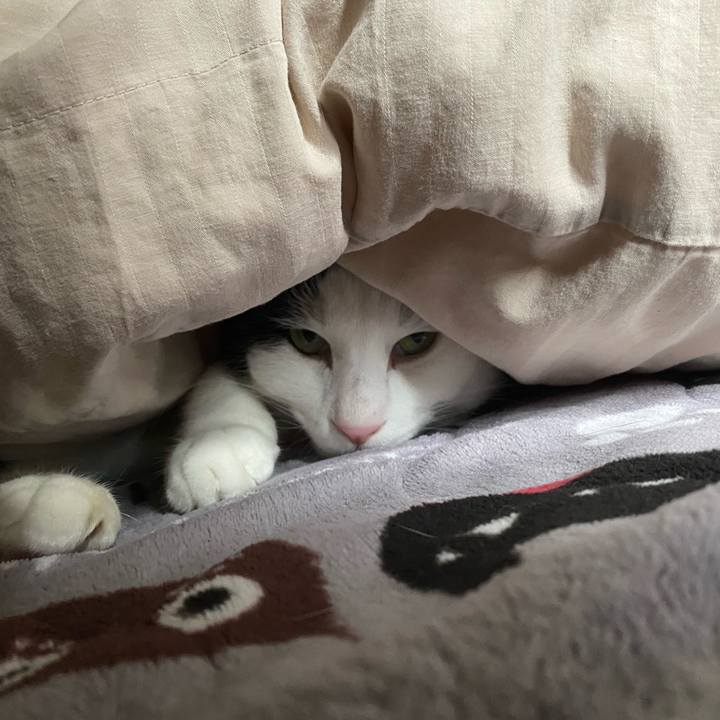 E3b4dbad 04c5 4a8c 995c cbf4d12570c2 1601786760791