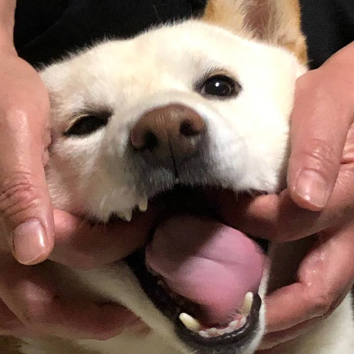 E3b4e694 d578 4e2a b139 942d5cd4c42a 1590579189177