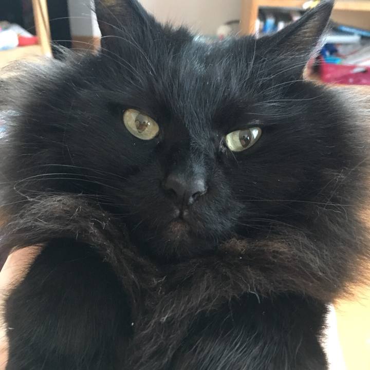 E3b4f118 2b2f 474e 938c df1368debe15 1549713449486