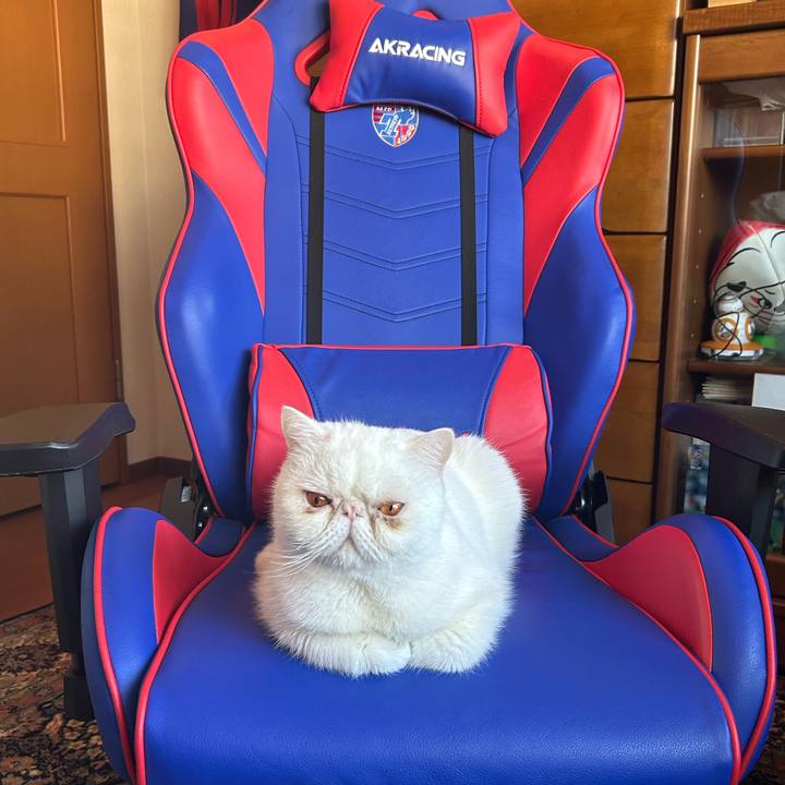 E3b52872 2efa 4d06 8f2f a63930333170 1703899851615