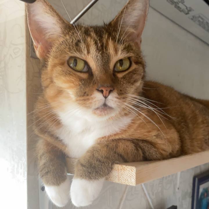 E3b5875a d233 4c15 bcb6 7e5b438cf575 1597022487547