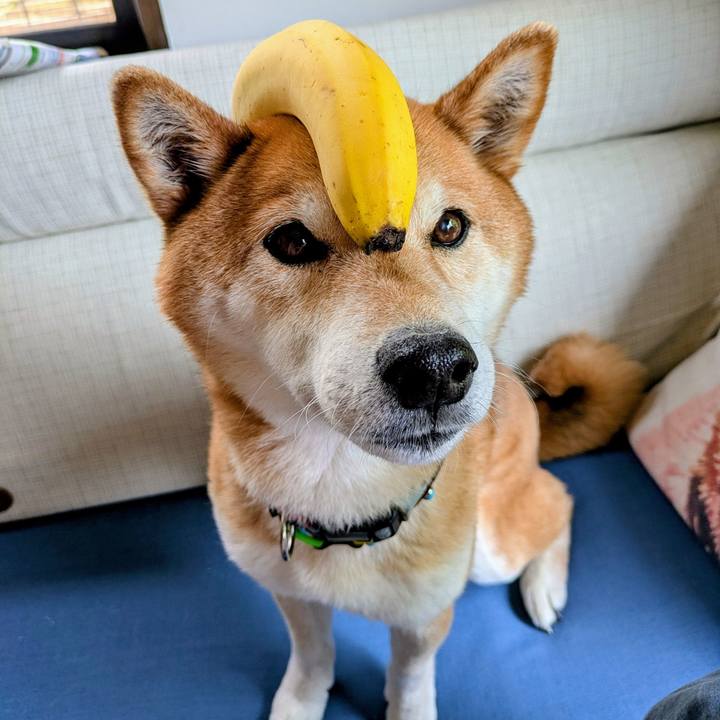 E3b588da a832 4e6b 9cb9 eaa5f905c9ad 1746593834147