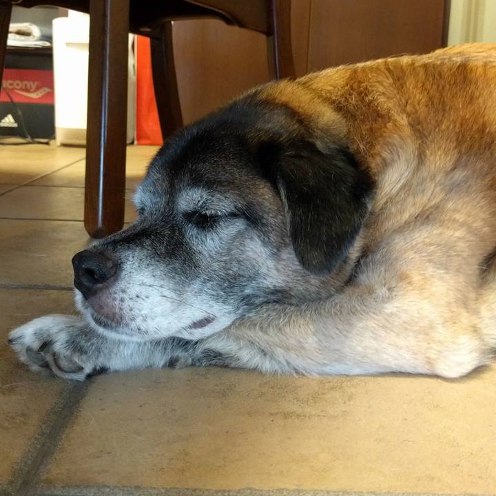 E3b5ba87 d491 462f ab91 92aaef89822a 1530084591968