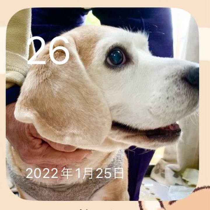 E3b5d679 b623 483f b958 6b05710008b8 1706226116002