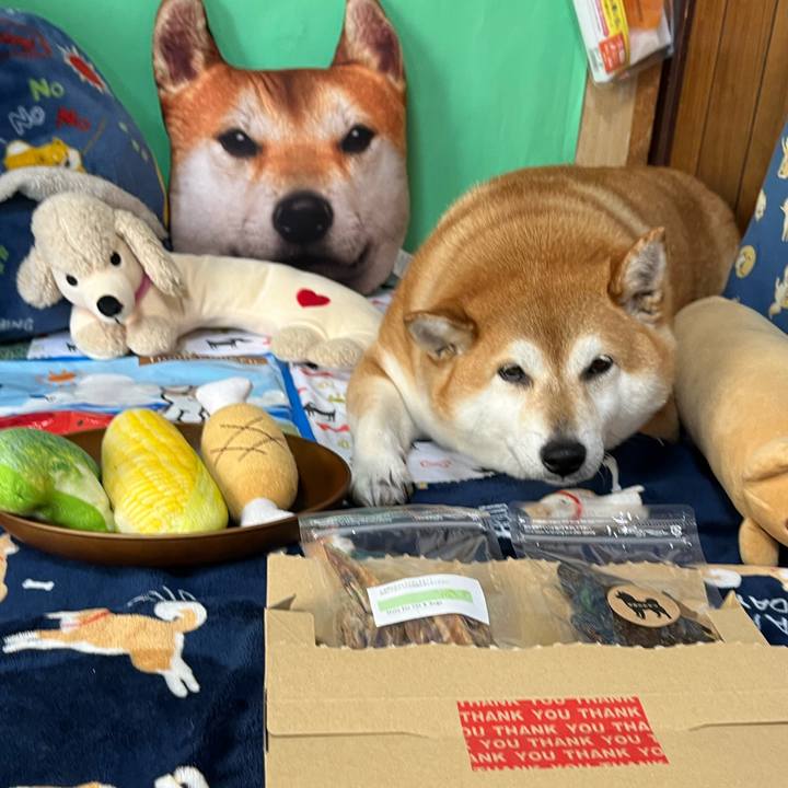 E3b5faa6 37f4 4023 8ddc f58ca597a92d 1651126904234