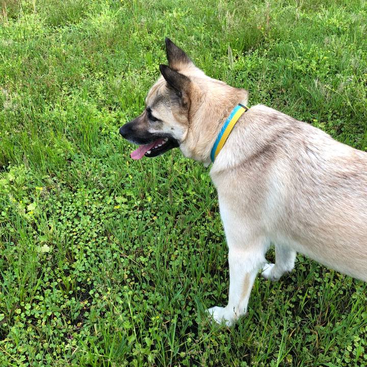 E3b62506 a884 4251 9881 b853f85a768d 1526470613231