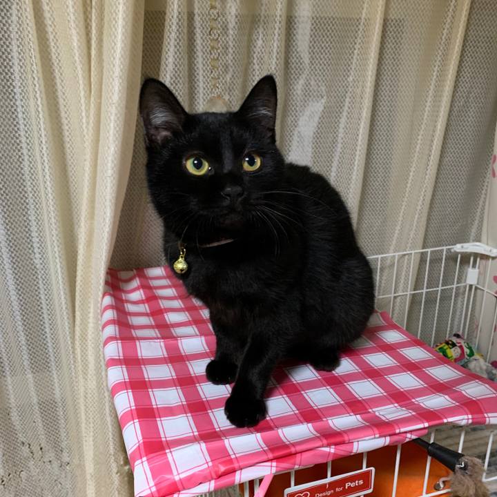 E3b65f23 276e 4855 8431 e2d59c0b9f70 1577402977249