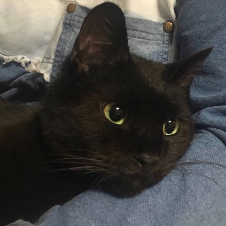 E3b67b2b e1dd 4e9b b4a3 d85e2bbed8e9 1581162696678