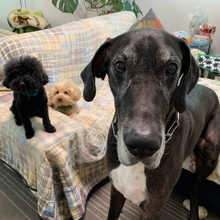 E3b67dba 8984 4813 9f98 31042d710eae 1562711376009