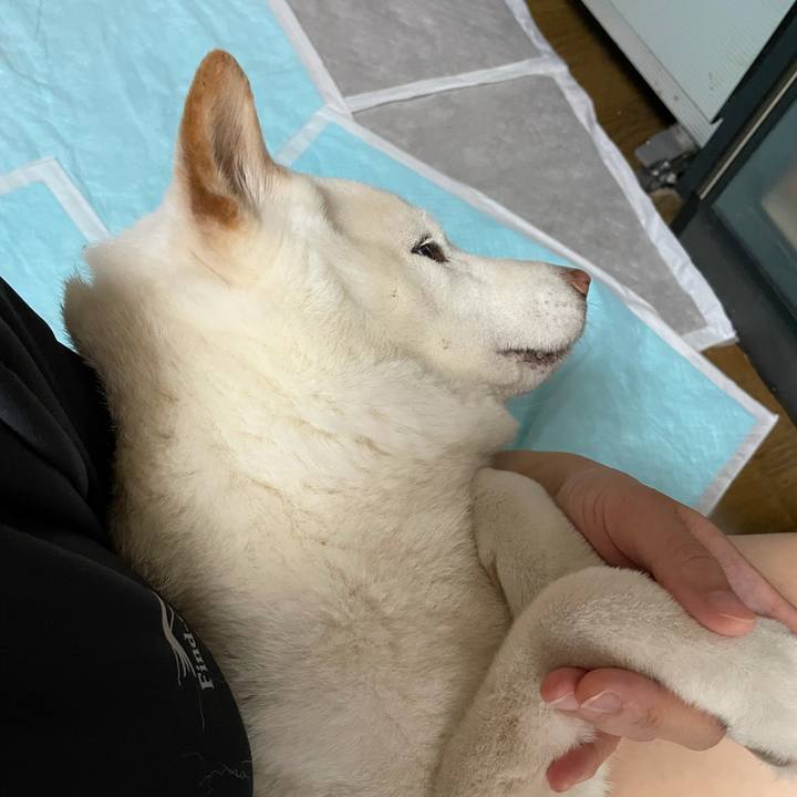 E3b68829 cfd6 4905 8326 78b33cf8a37b 1634554880159